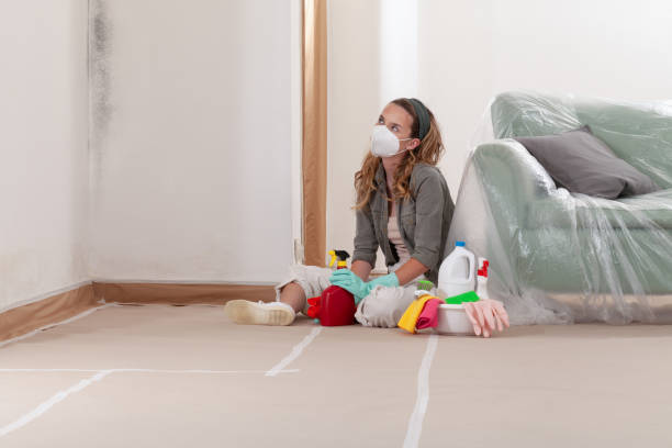 Reliable Mold Remediation contractor in Harbert, MI by WQB Mold Removal
